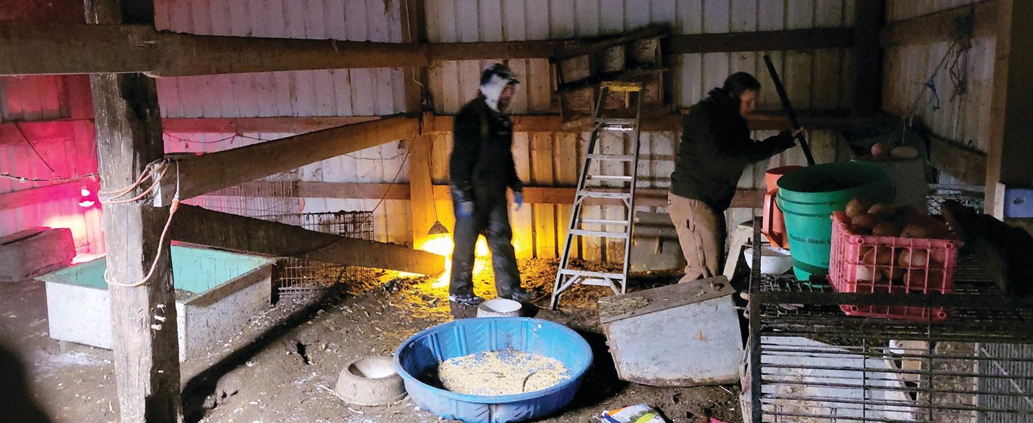 Workers collaborate to make sure that no animal is left behind during a frigid winter rescue last week.
